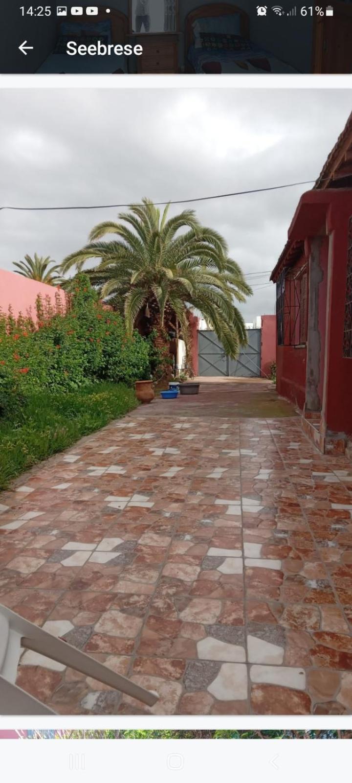 مبيت وإفطار الجديدة Palmtree المظهر الخارجي الصورة